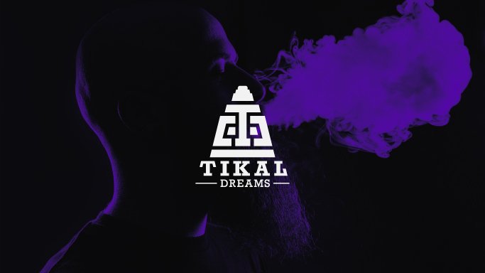 Tikal Dreams logo colors application