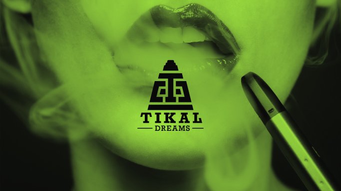 Tikal Dreams logo colors application